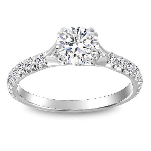 Pave Round Cut Diamond Engagement Ring Rooted (0.43 ct. tw.)