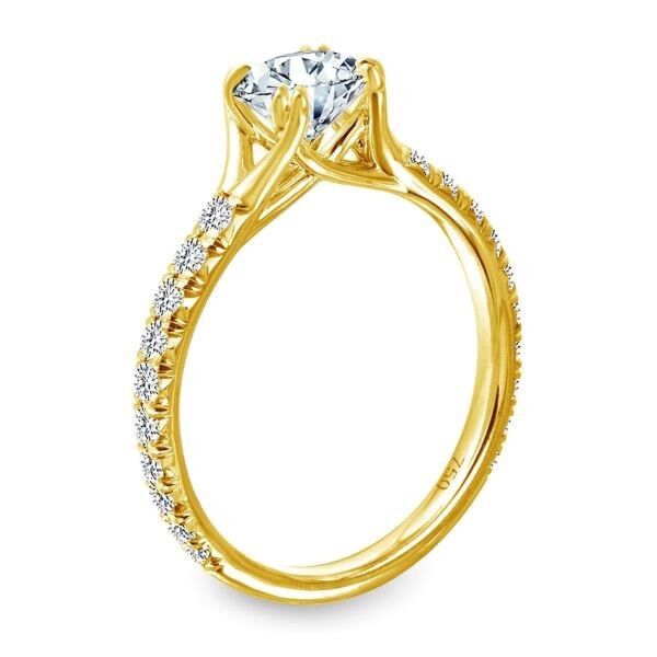 Pave Round Cut Diamond Engagement Ring In Yellow Gold Rooted (0.43 ct. tw.)