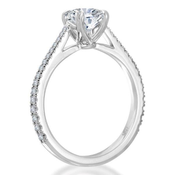 Pave Round Cut Diamond Engagement Ring In White Gold Natural Double Prong (0.22 ct. tw.)
