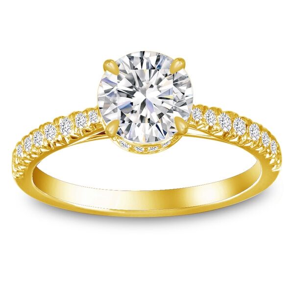 Pave Round Cut Diamond Engagement Ring In Yellow Gold Bridge (0.25 ct. tw.)