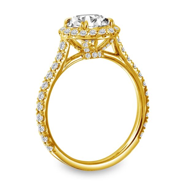 Halo Round Cut Diamond Engagement Ring In Yellow Gold Natural Halo with Accent (0.78 ct. tw.)