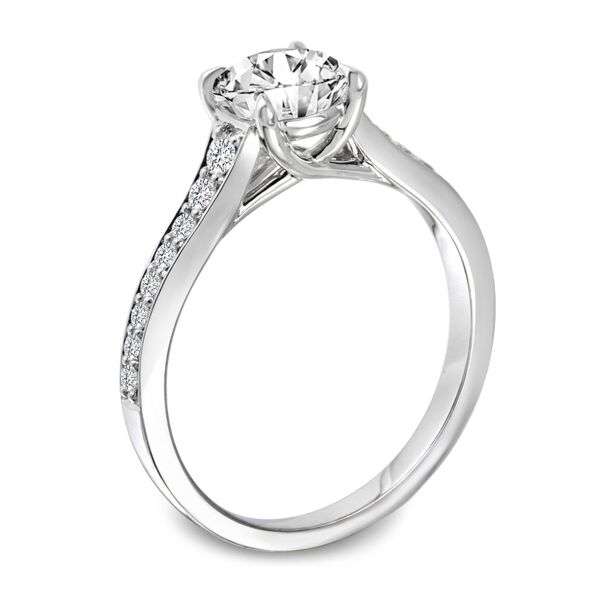Pave Round Cut Diamond Engagement Ring In White Gold Natural Channel Set (0.25 ct. tw.)
